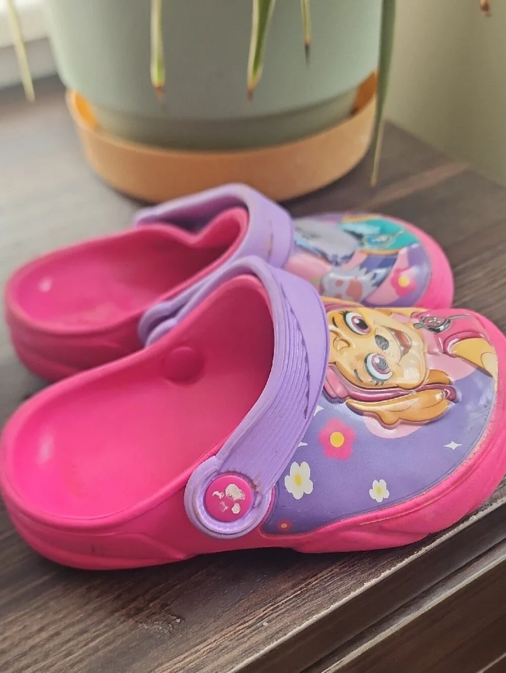 Paw Patrol Pink & Purple Kids Clogs - Skye & Everest